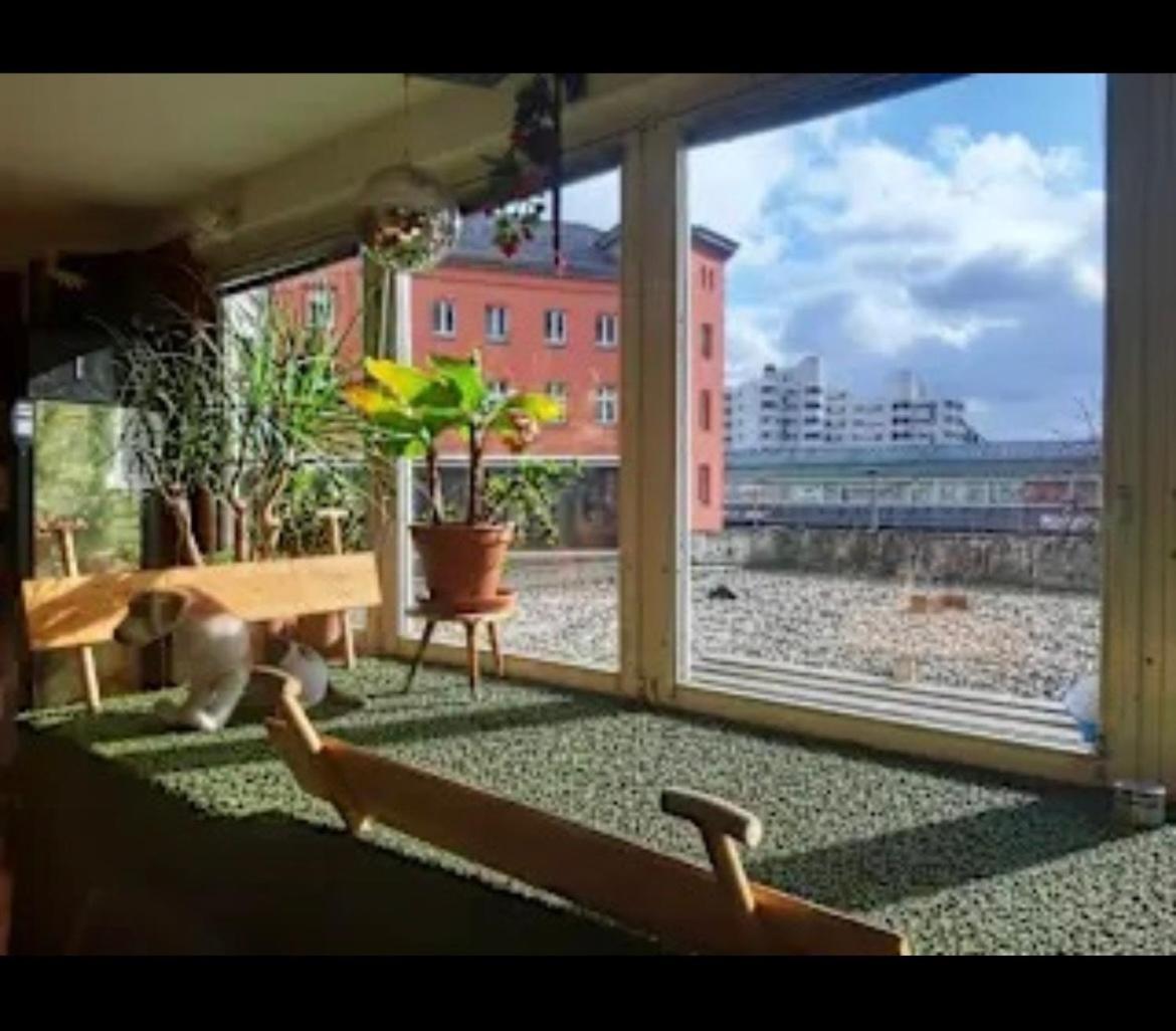 Comebackpackers Berlim Exterior foto